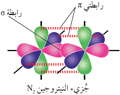 جزيء النيتروجين